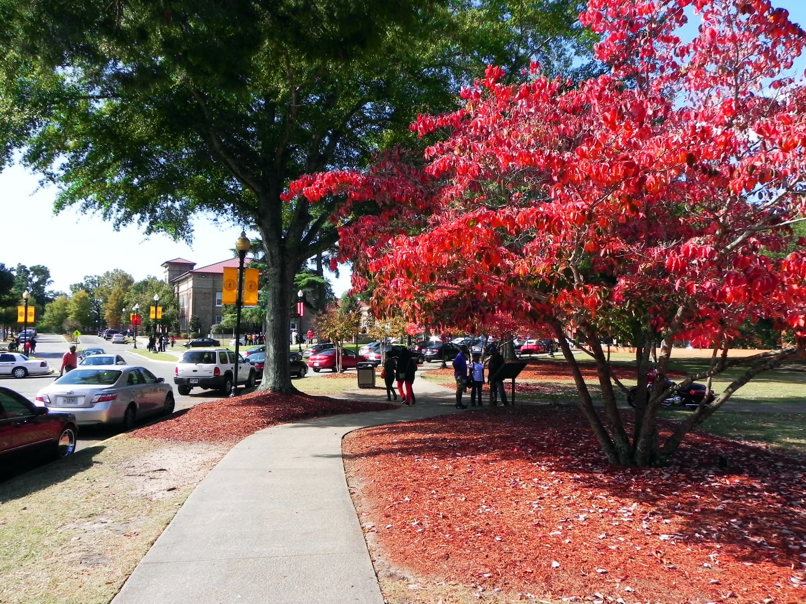 The Pratt Institute-Main campus