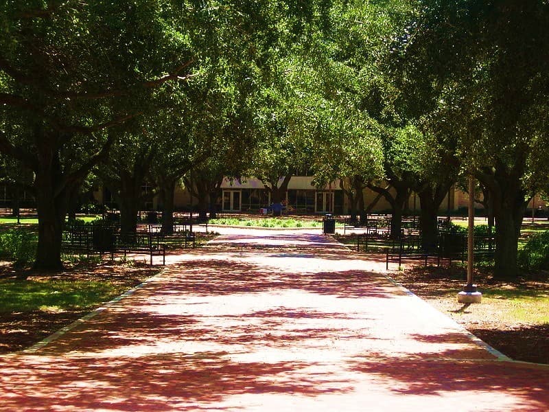 The McNeese State University campus