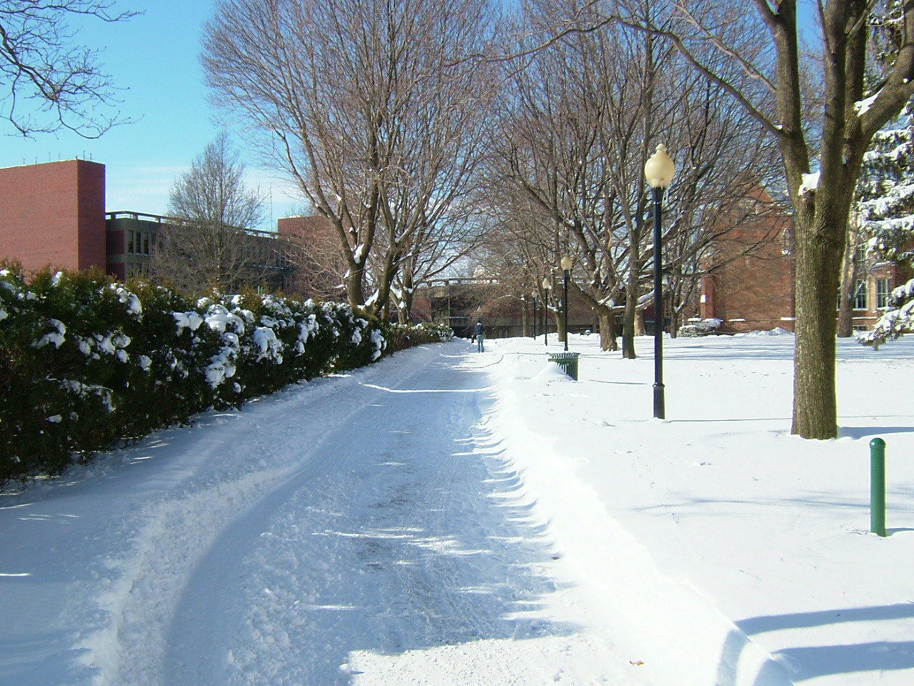 The Wagner College campus